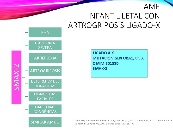 PHA AME INFANTIL LETAL CON ARTROGRIPOSIS LIGADO-X HIPOTONÍA SEVERA SMAX-2 ARREFLEXIA ARTROGRIPOSIS LIGADO A