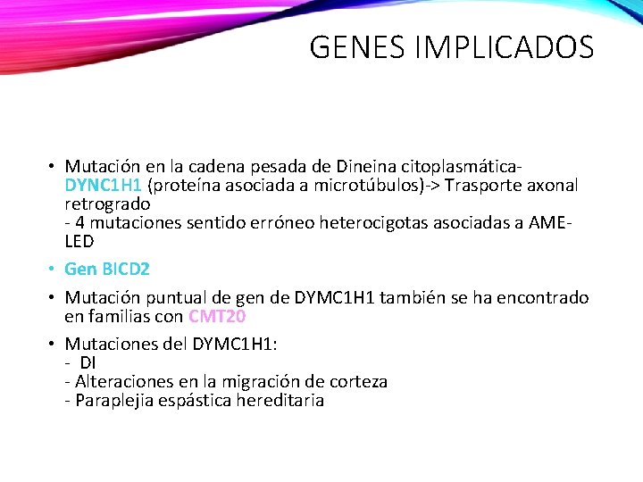 GENES IMPLICADOS • Mutación en la cadena pesada de Dineina citoplasmática. DYNC 1 H