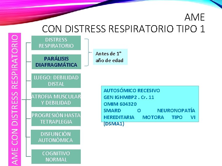 AME CON DISTRESS RESPIRATORIO TIPO 1 DISTRESS RESPIRATORIO PARÁLISIS DIAFRAGMÁTICA LUEGO: DEBILIDAD DISTAL ATROFIA