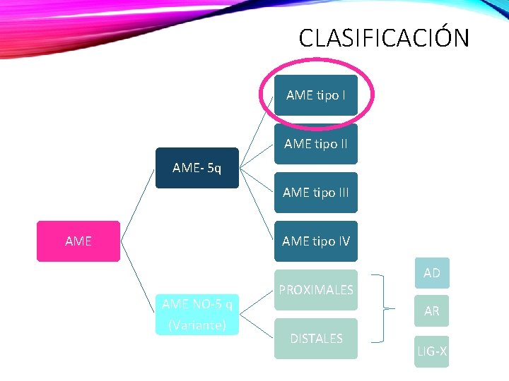 CLASIFICACIÓN AME tipo II AME- 5 q AME tipo III AME tipo IV AME