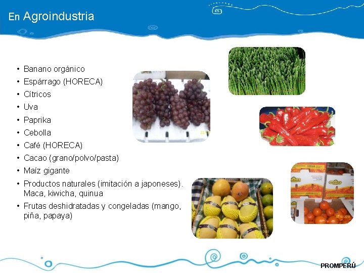 En Agroindustria • Banano orgánico • Espárrago (HORECA) • Cítricos • Uva • Paprika