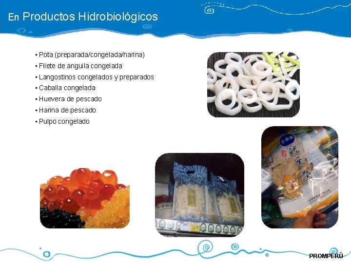 En Productos Hidrobiológicos • Pota (preparada/congelada/harina) • Filete de anguila congelada • Langostinos congelados