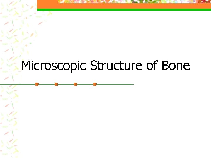 Microscopic Structure of Bone 