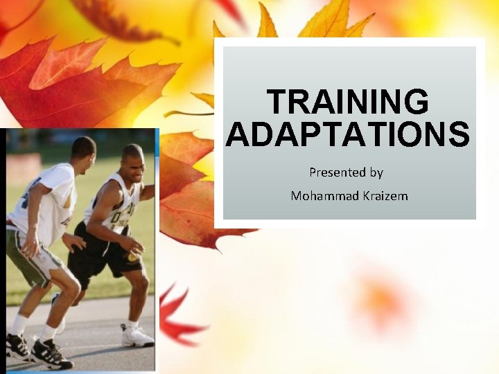 TRAINING ADAPTATIONS Presented by Mohammad Kraizem 
