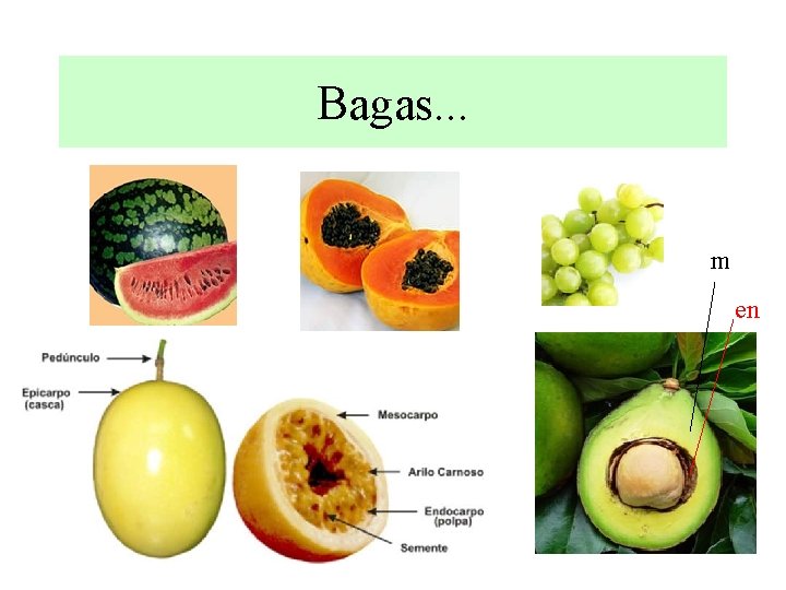 Bagas. . . m en 