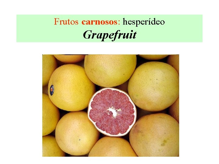 Frutos carnosos: hesperídeo Grapefruit 