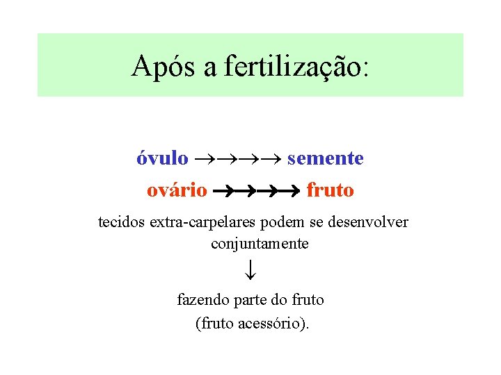 Após a fertilização: óvulo semente ovário fruto tecidos extra-carpelares podem se desenvolver conjuntamente fazendo