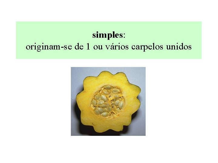simples: originam-se de 1 ou vários carpelos unidos 