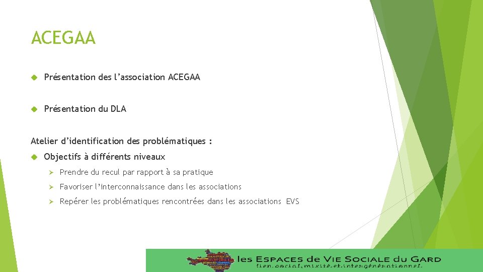 ACEGAA Présentation des l’association ACEGAA Présentation du DLA Atelier d’identification des problématiques : Objectifs