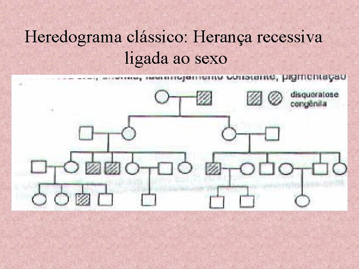 Heredograma clássico: Herança recessiva ligada ao sexo 