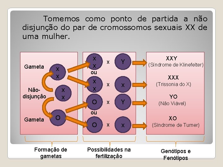 Tomemos como ponto de partida a não disjunção do par de cromossomos sexuais XX