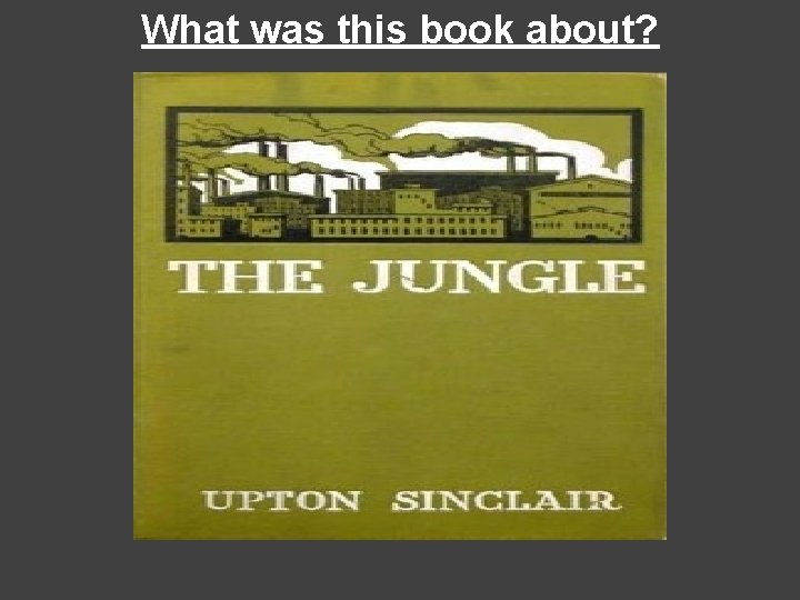 What was this book about? What was this book about?