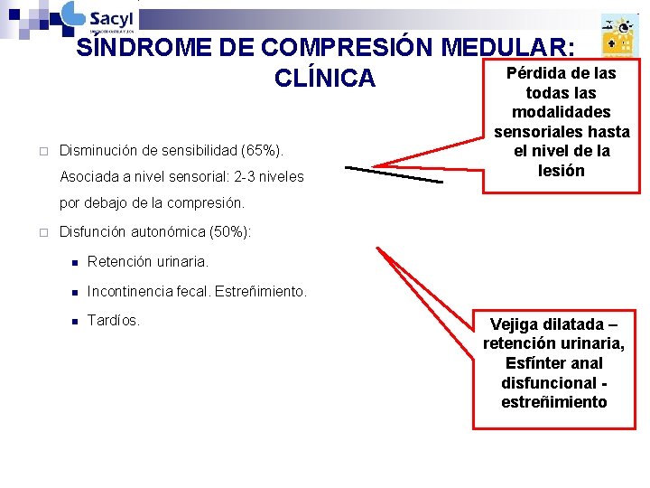 SÍNDROME DE COMPRESIÓN MEDULAR: Pérdida de las CLÍNICA todas las ¨ Disminución de sensibilidad SÍNDROME DE COMPRESIÓN MEDULAR: Pérdida de las CLÍNICA todas las ¨ Disminución de sensibilidad
