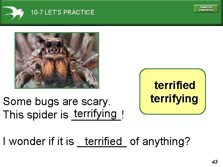 10 -7 LET’S PRACTICE Some bugs are scary. terrifying This spider is ____! terrified