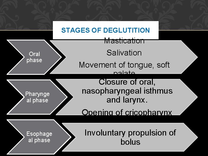 STAGES OF DEGLUTITION Mastication Oral phase Pharynge al phase Salivation Movement of tongue, soft