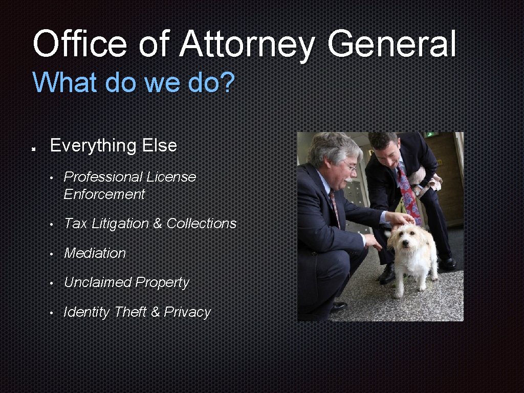 Office of Attorney General What do we do? Everything Else • Professional License Enforcement