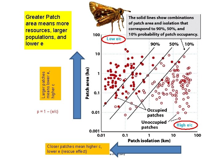 Low e/c Larger patches means lower e, higher c Greater Patch area means more