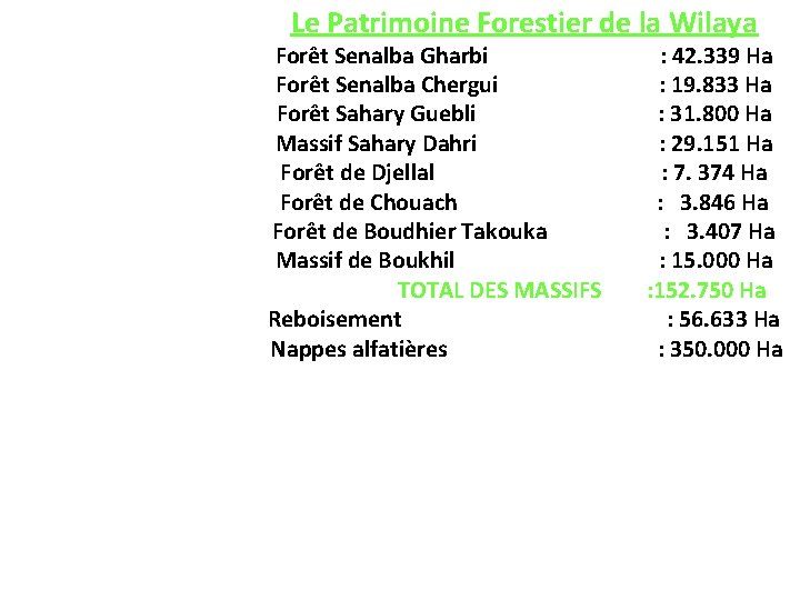 Le Patrimoine Forestier de la Wilaya Forêt Senalba Gharbi : 42. 339 Ha Forêt