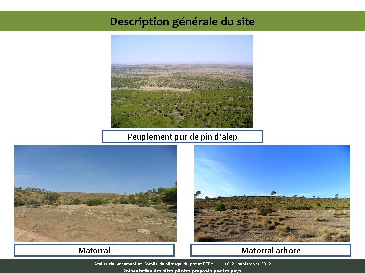 Description générale du site Peuplement pur de pin d’alep Matorral arbore Atelier de lancement