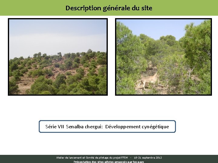 Description générale du site Série VII Senalba chergui: Développement cynégétique Atelier de lancement et