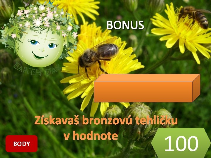 BONUS BODY Získavaš bronzovú tehličku v hodnote 100 