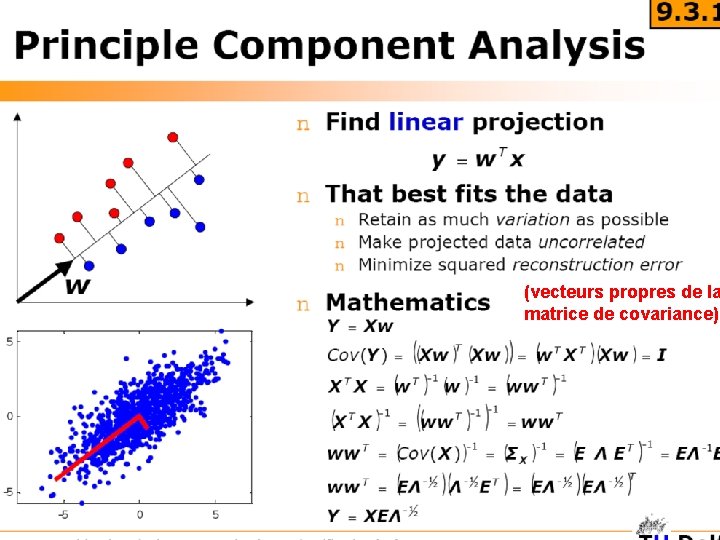 (vecteurs propres de la matrice de covariance) 