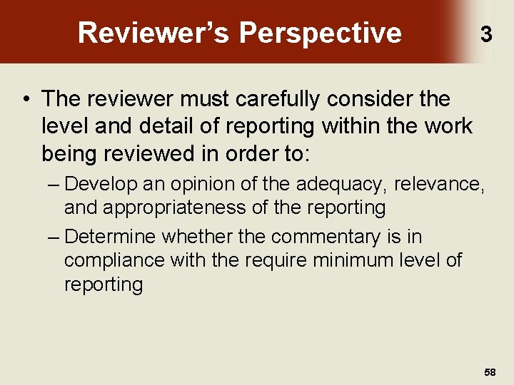 Reviewer’s Perspective 3 • The reviewer must carefully consider the level and detail of