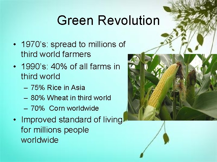 Green Revolution • 1970’s: spread to millions of third world farmers • 1990’s: 40%