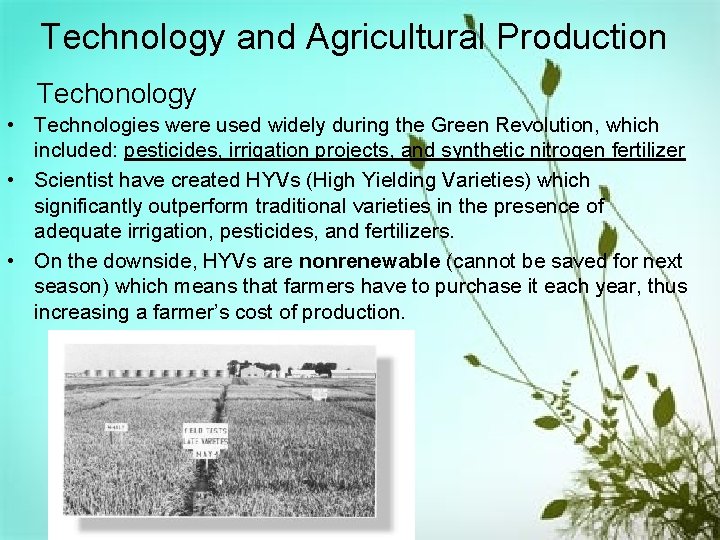 Technology and Agricultural Production Techonology • Technologies were used widely during the Green Revolution,