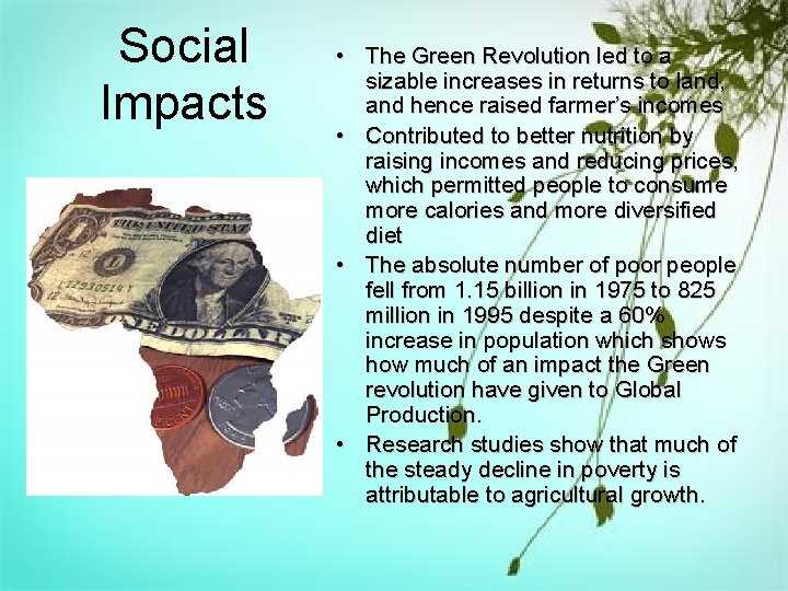 Social Impacts • The Green Revolution led to a sizable increases in returns to