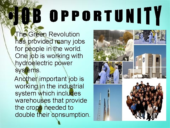 The Green Revolution has provided many jobs for people in the world. One job