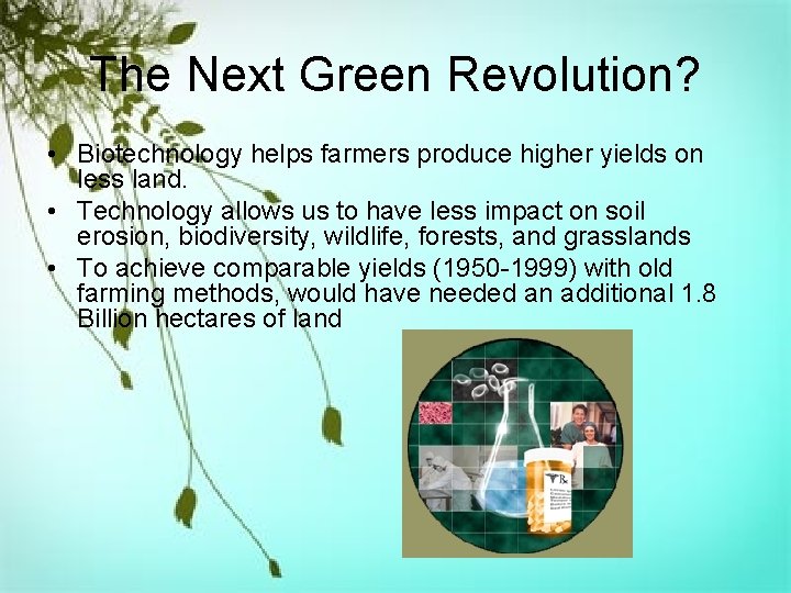 The Next Green Revolution? • Biotechnology helps farmers produce higher yields on less land.