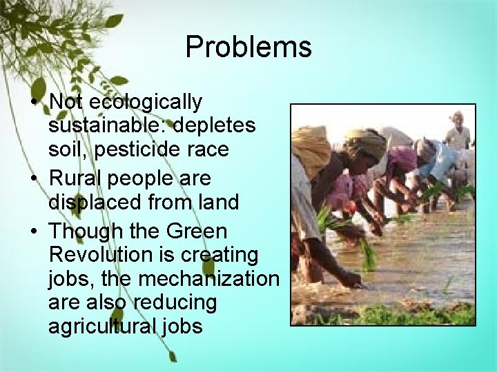 Problems • Not ecologically sustainable: depletes soil, pesticide race • Rural people are displaced