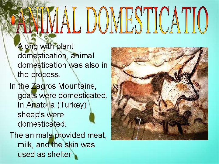 Along with plant domestication, animal domestication was also in the process. In the Zagros