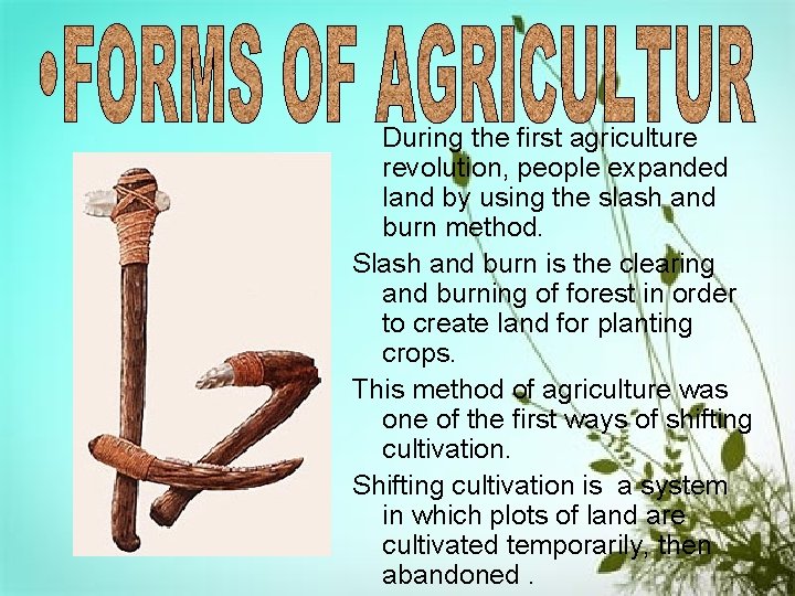 During the first agriculture revolution, people expanded land by using the slash and burn