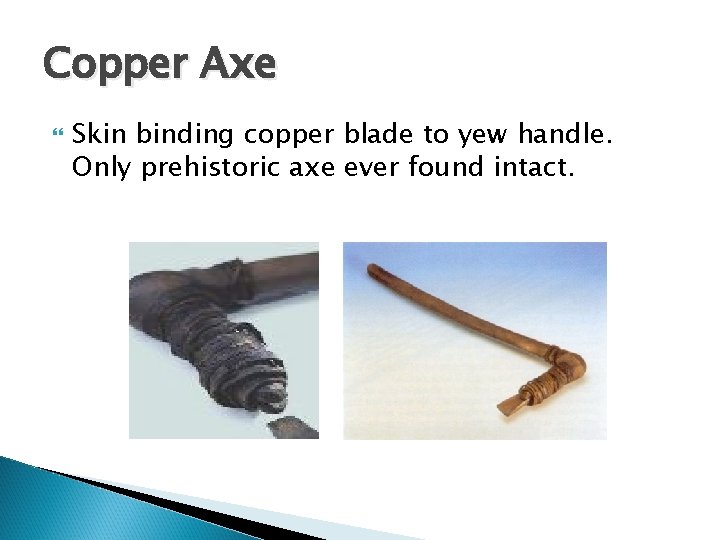 Copper Axe Skin binding copper blade to yew handle. Only prehistoric axe ever found