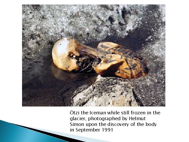 Ötzi the Iceman while still frozen in the glacier, photographed by Helmut Simon upon