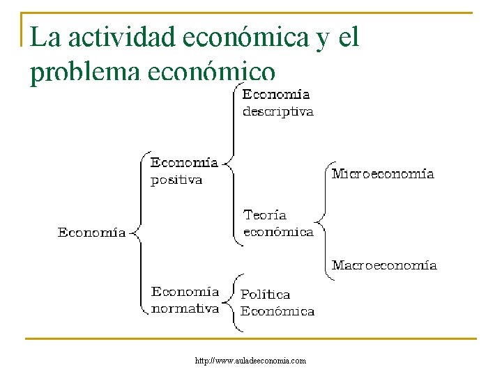 La actividad económica y el problema económico http: //www. auladeeconomia. com 