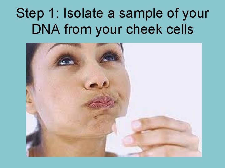 Step 1: Isolate a sample of your DNA from your cheek cells 