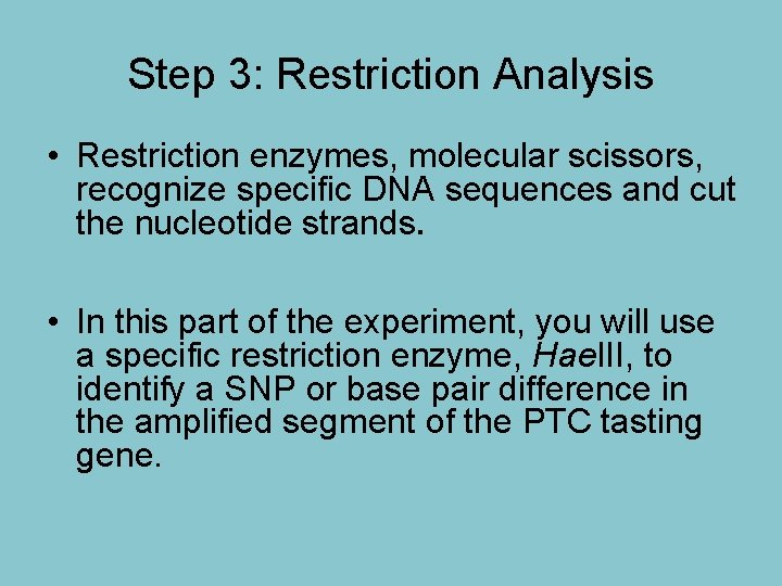 Step 3: Restriction Analysis • Restriction enzymes, molecular scissors, recognize specific DNA sequences and