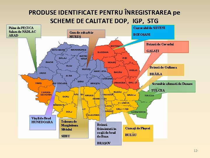 PRODUSE IDENTIFICATE PENTRU ÎNREGISTRAREA pe SCHEME DE CALITATE DOP, IGP, STG Pâine de PECICA