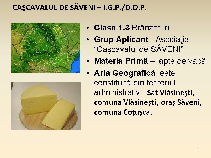 CAȘCAVALUL DE SĂVENI – I. G. P. /D. O. P. • Clasa 1. 3