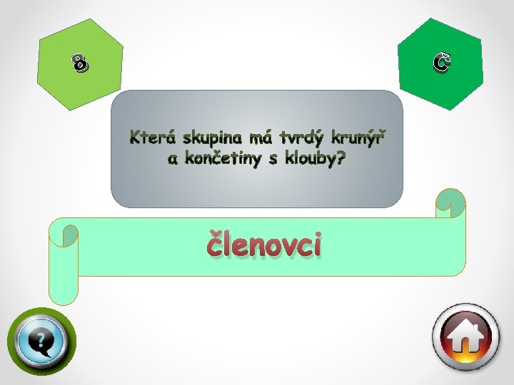 Č 8 členovci 