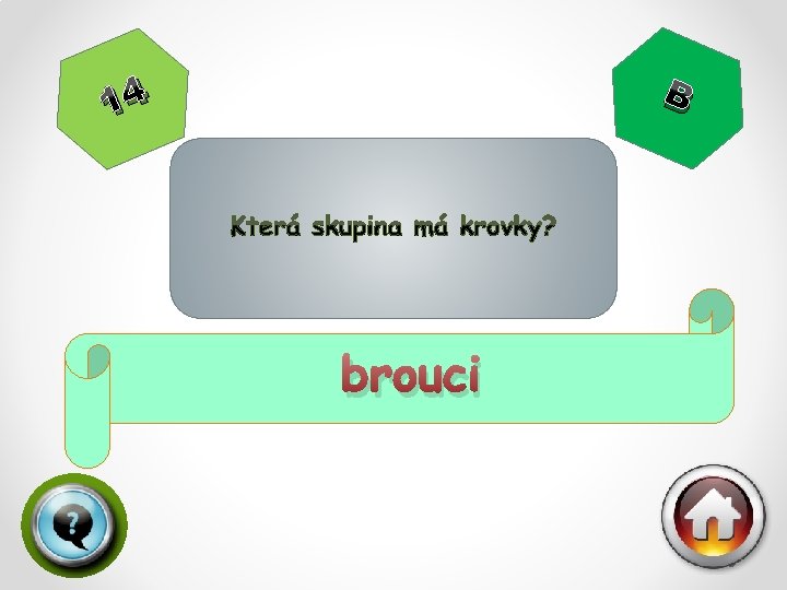 B 14 brouci 