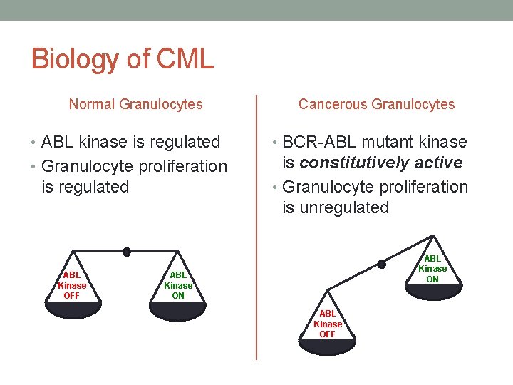 Biology of CML Normal Granulocytes Cancerous Granulocytes • ABL kinase is regulated • BCR-ABL