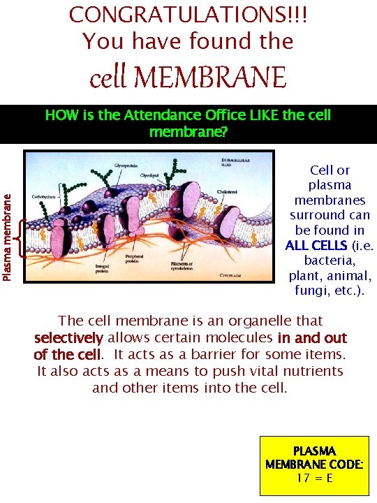 Plasma membrane CONGRATULATIONS!!! You have found the cell MEMBRANE HOW is the Attendance Office