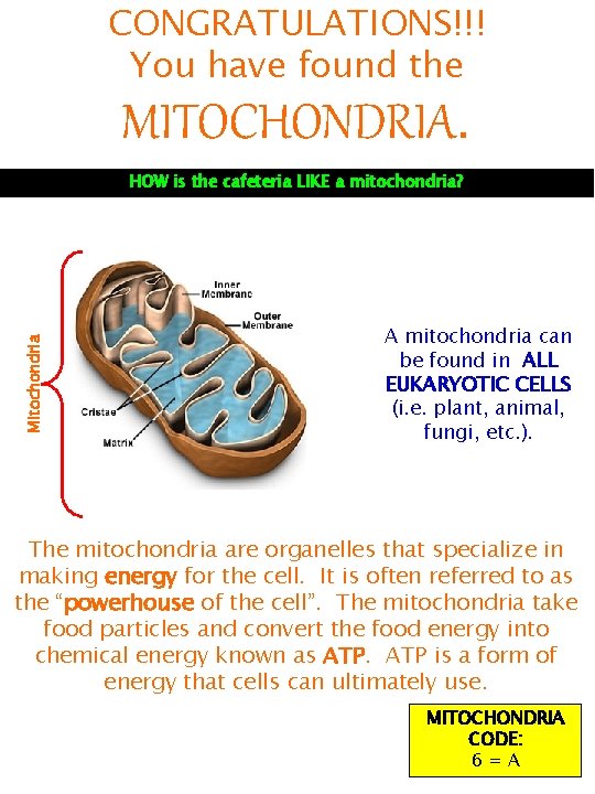 CONGRATULATIONS!!! You have found the MITOCHONDRIA. Mitochondria HOW is the cafeteria LIKE a mitochondria?