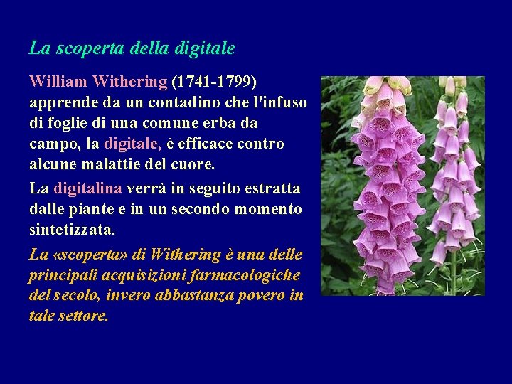 La scoperta della digitale William Withering (1741 -1799) apprende da un contadino che l'infuso La scoperta della digitale William Withering (1741 -1799) apprende da un contadino che l'infuso