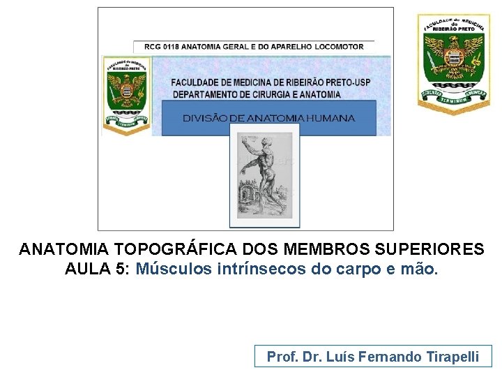 ANATOMIA TOPOGRÁFICA DOS MEMBROS SUPERIORES AULA 5: Músculos intrínsecos do carpo e mão. Prof.