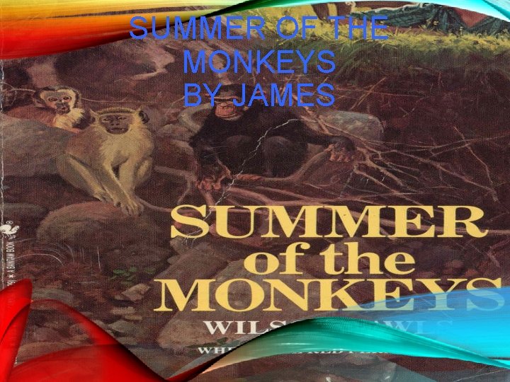 SUMMER OF THE MONKEYS BY JAMES 